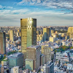 酒店 东京丽思卡尔顿酒店, 東京都